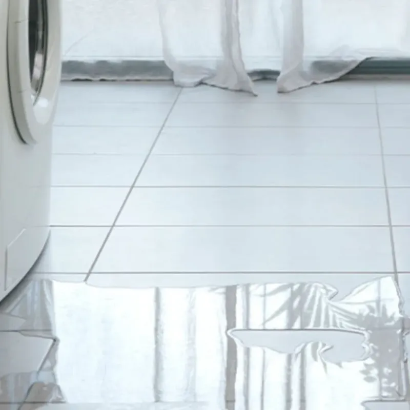 Appliance Leak Cleanup in Elizabethtown, NC