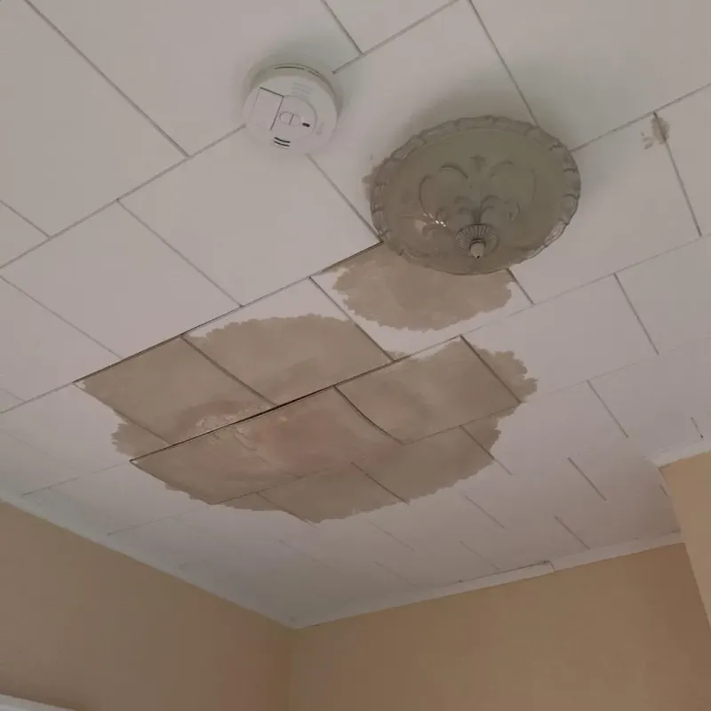 Ceiling Water Damage Repair in Elizabethtown, NC