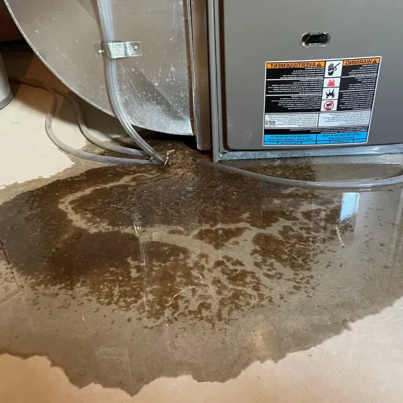 Pipe Burst and Leak Restoration in Elizabethtown, NC